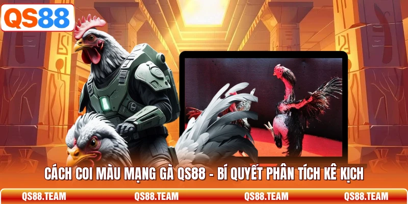 Cách Coi Màu Mạng Gà QS88 - Bí Quyết Phân Tích Kê Kịch