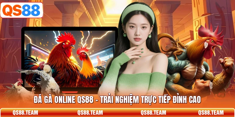 Đá Gà Online QS88 - Trải Nghiệm Trực Tiếp Đỉnh Cao