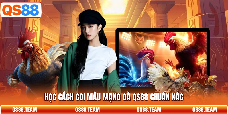 Học cách coi màu mạng gà QS88 chuẩn xác