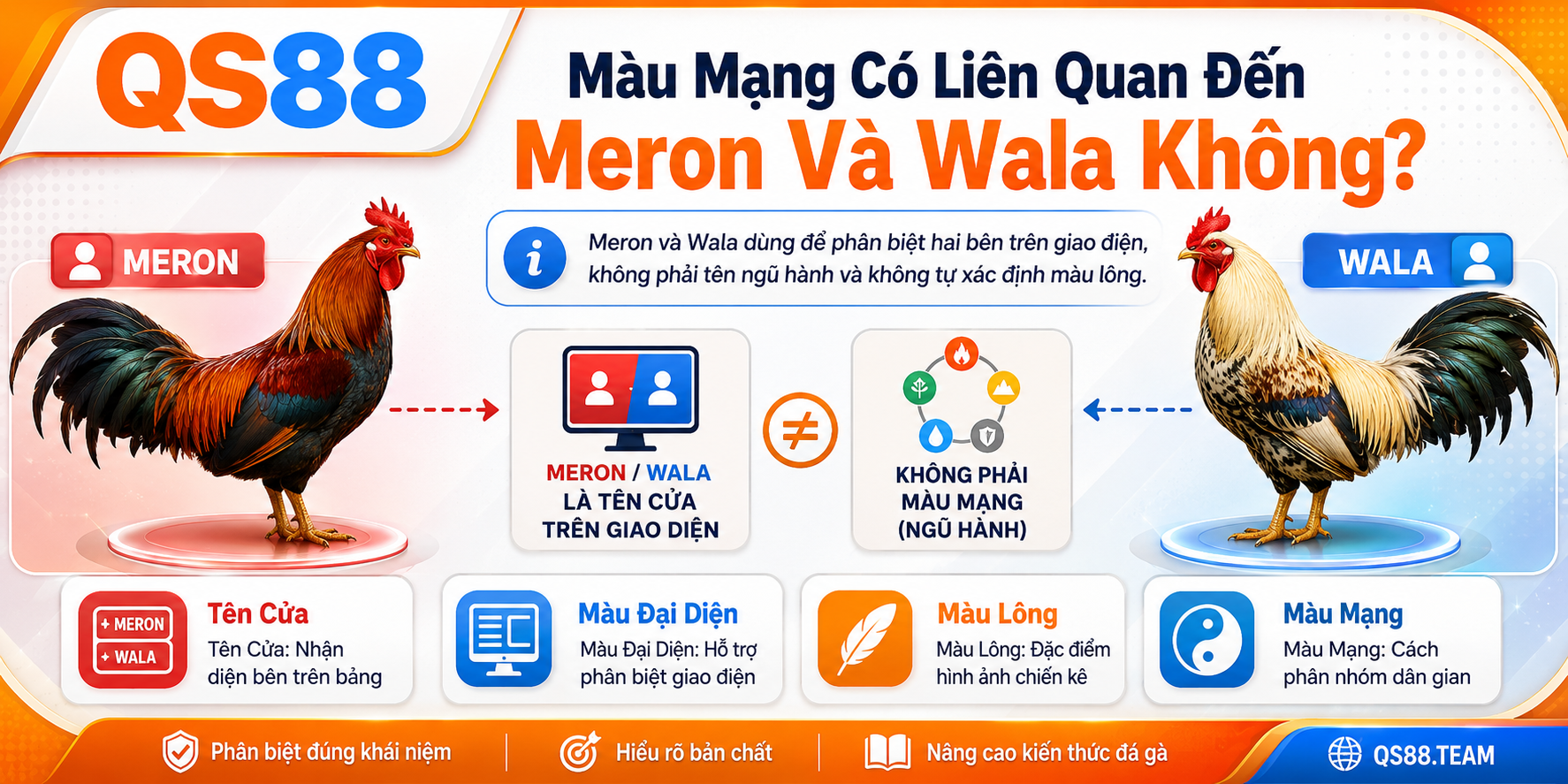 Màu mạng có liên quan đến meron và wala không