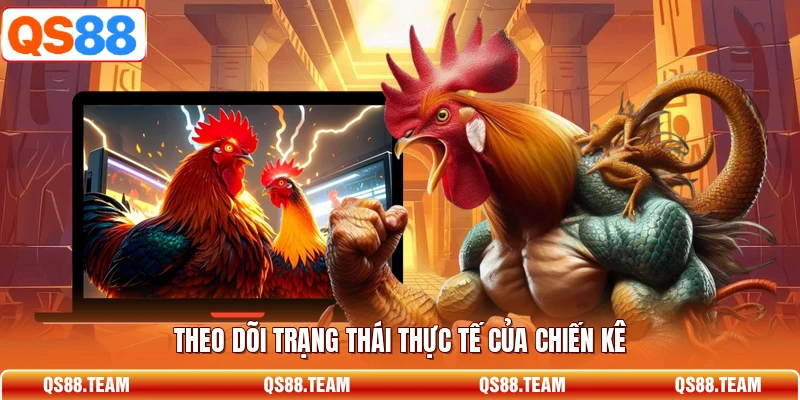 Theo dõi trạng thái thực tế của chiến kê
